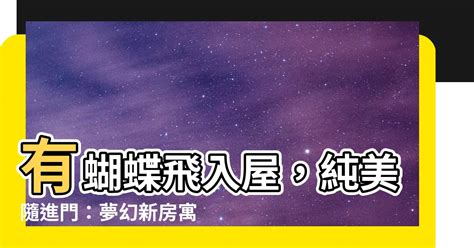 有蝴蝶飛入屋|【蝴蝶進屋】找出答案！蝴蝶飛進屋，到底象徵著什麼。